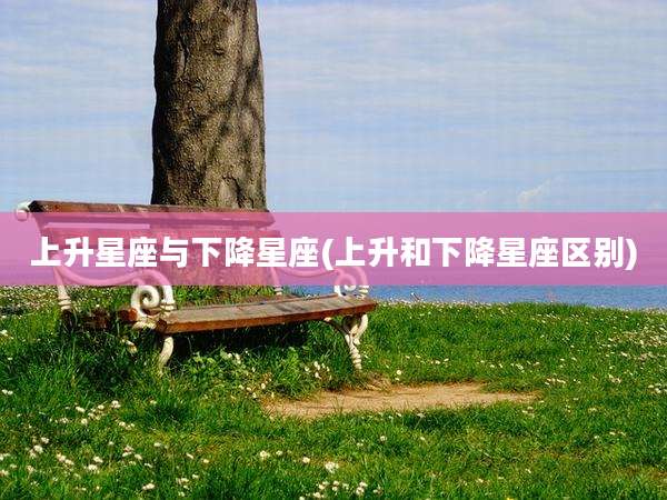 上升星座与下降星座(上升和下降星座区别)