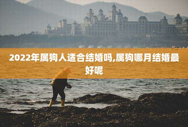 2022年属狗人适合结婚吗,属狗哪月结婚最好呢