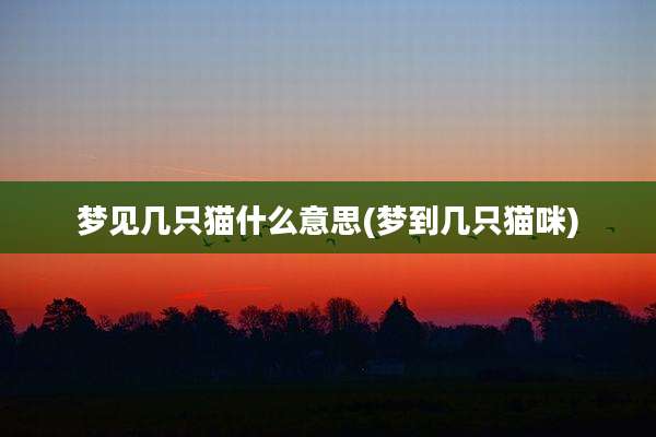 梦见几只猫什么意思(梦到几只猫咪)