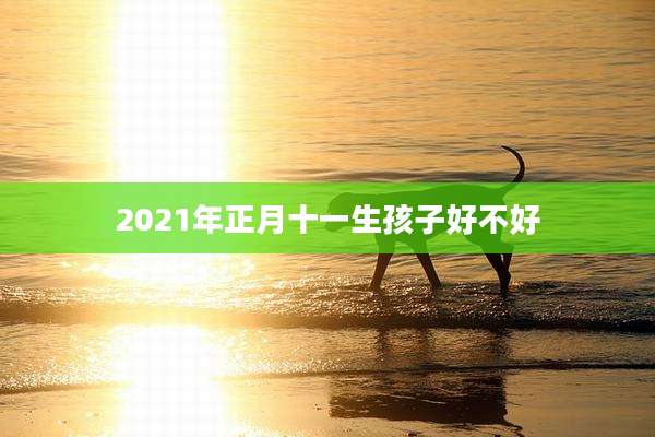 2021年正月十一生孩子好不好