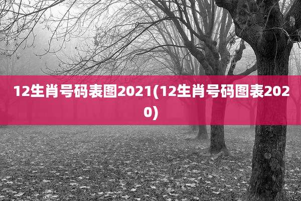 12生肖号码表图2021(12生肖号码图表2020)