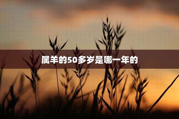 属羊的50多岁是哪一年的