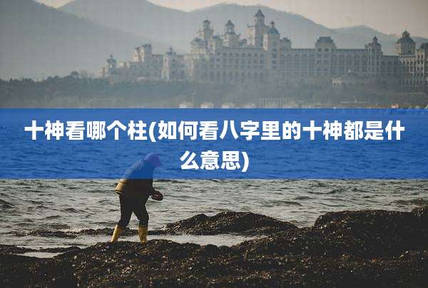 十神看哪个柱(如何看八字里的十神都是什么意思)
