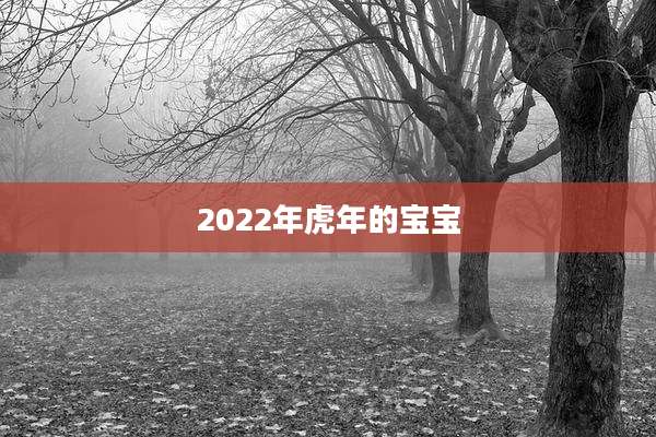 2022年虎年的宝宝