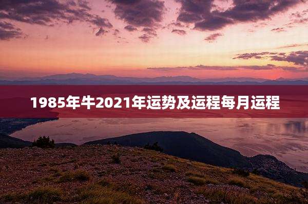 1985年牛2021年运势及运程每月运程