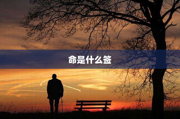 命是什么签