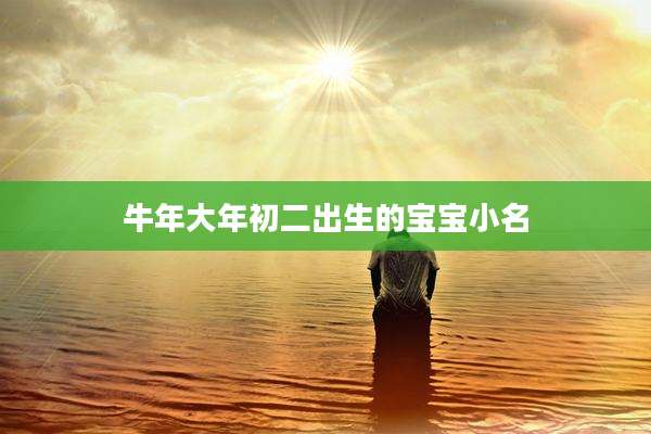 牛年大年初二出生的宝宝小名