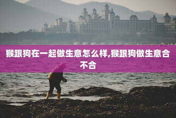 猴跟狗在一起做生意怎么样,猴跟狗做生意合不合