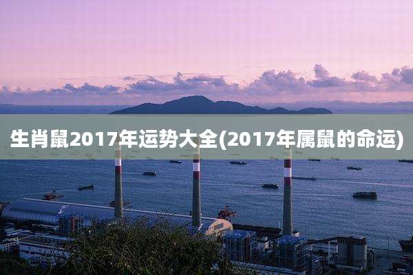 生肖鼠2017年运势大全(2017年属鼠的命运)