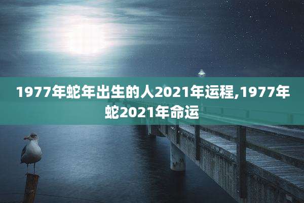 1977年蛇年出生的人2021年运程,1977年蛇2021年命运