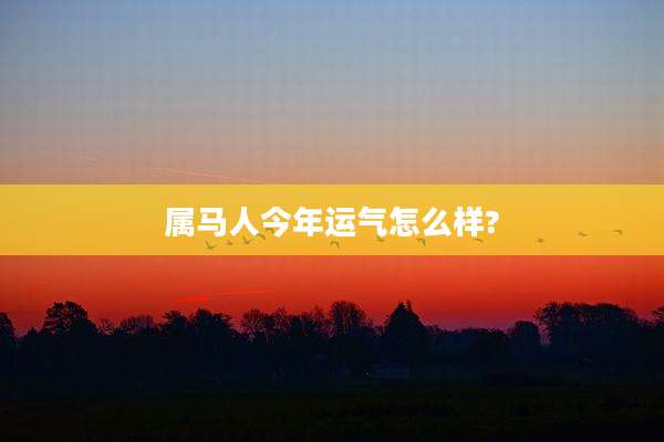 属马人今年运气怎么样?