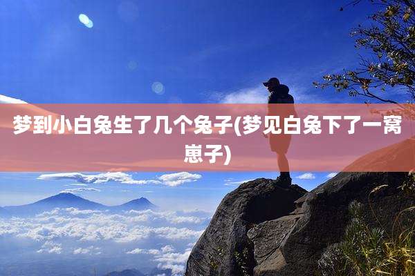 梦到小白兔生了几个兔子(梦见白兔下了一窝崽子)