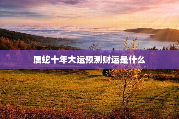 属蛇十年大运预测财运是什么