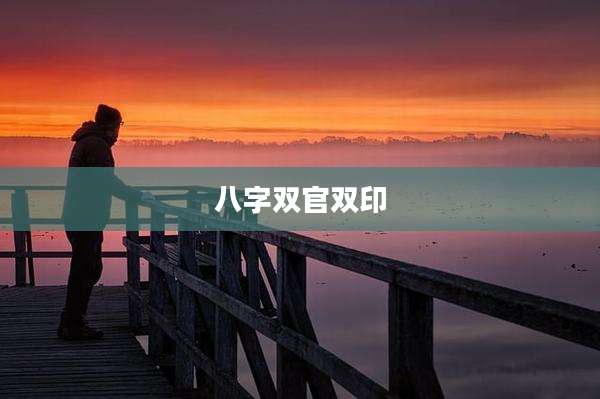 八字双官双印