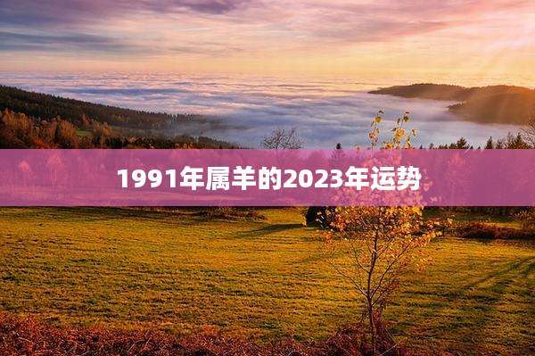 1991年属羊的2023年运势