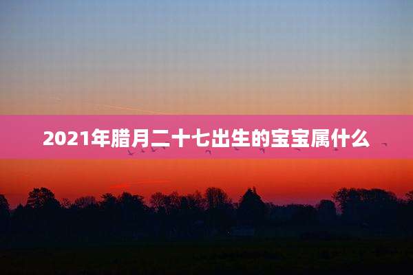 2021年腊月二十七出生的宝宝属什么