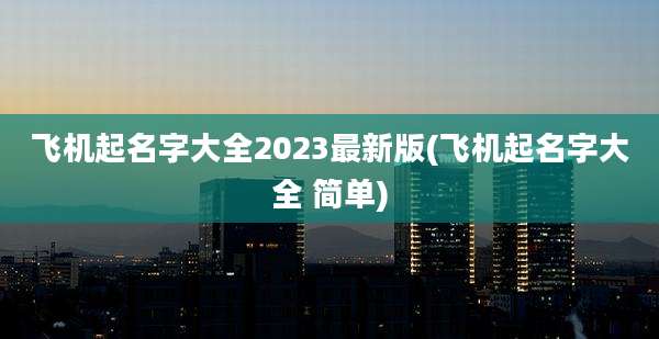 飞机起名字大全2023最新版(飞机起名字大全 简单)