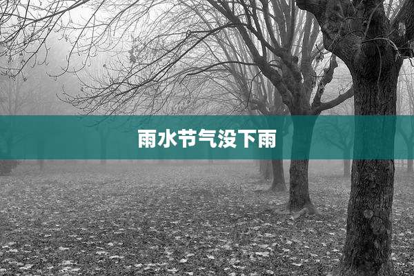 雨水节气没下雨