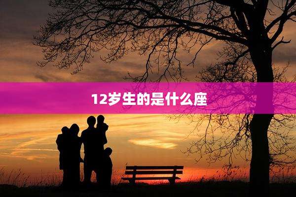 12岁生的是什么座