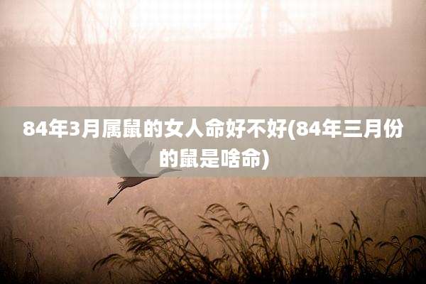 84年3月属鼠的女人命好不好(84年三月份的鼠是啥命)