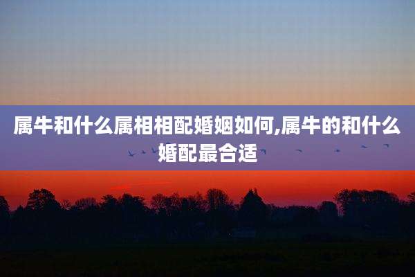属牛和什么属相相配婚姻如何,属牛的和什么婚配最合适