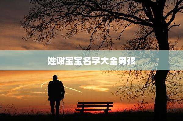 姓谢宝宝名字大全男孩