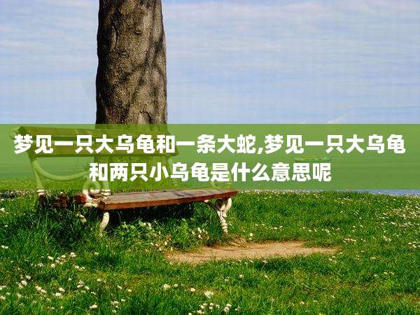 梦见一只大乌龟和一条大蛇,梦见一只大乌龟和两只小乌龟是什么意思呢