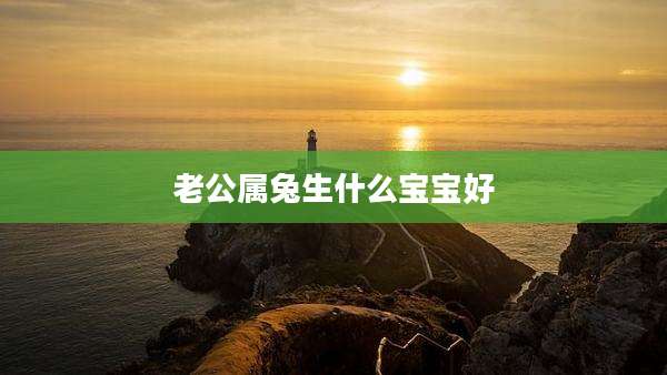 老公属兔生什么宝宝好