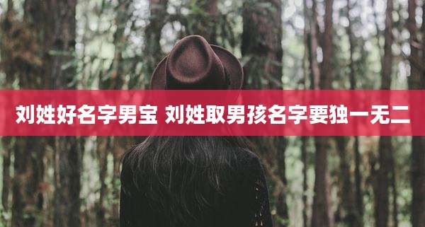 刘姓好名字男宝 刘姓取男孩名字要独一无二