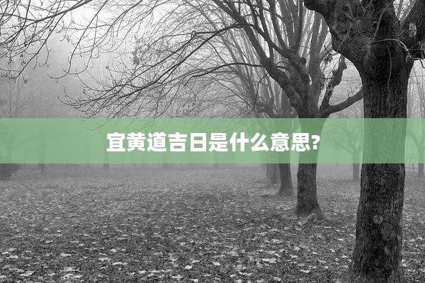 宜黄道吉日是什么意思?