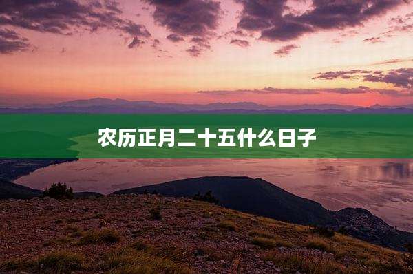 农历正月二十五什么日子