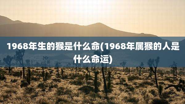 1968年生的猴是什么命(1968年属猴的人是什么命运)