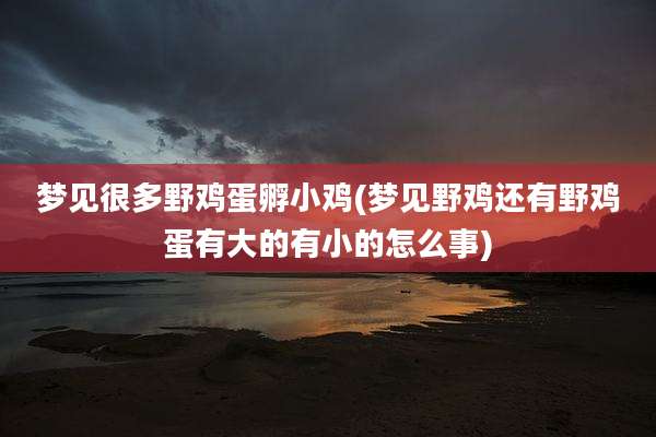 梦见很多野鸡蛋孵小鸡(梦见野鸡还有野鸡蛋有大的有小的怎么事)