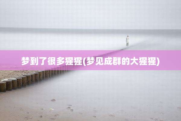 梦到了很多猩猩(梦见成群的大猩猩)