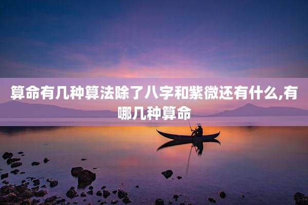 算命有几种算法除了八字和紫微还有什么,有哪几种算命