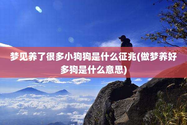 梦见养了很多小狗狗是什么征兆(做梦养好多狗是什么意思)