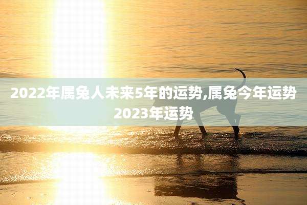 2022年属兔人未来5年的运势,属兔今年运势2023年运势