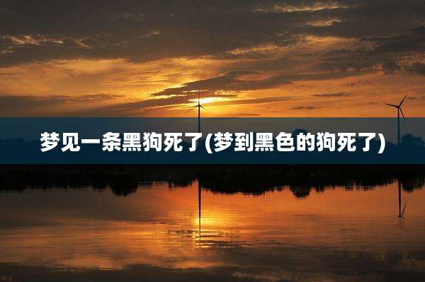 梦见一条黑狗死了(梦到黑色的狗死了)
