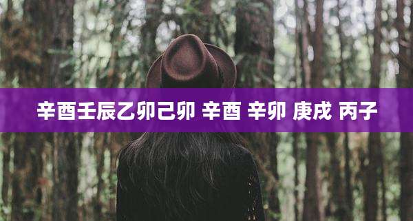 辛酉壬辰乙卯己卯 辛酉 辛卯 庚戌 丙子