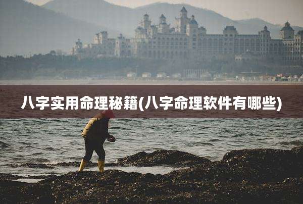 八字实用命理秘籍(八字命理软件有哪些)