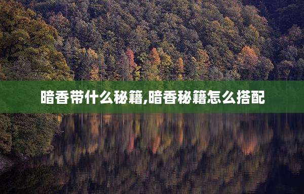 暗香带什么秘籍,暗香秘籍怎么搭配