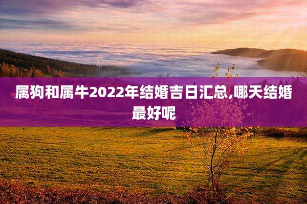 属狗和属牛2022年结婚吉日汇总,哪天结婚最好呢