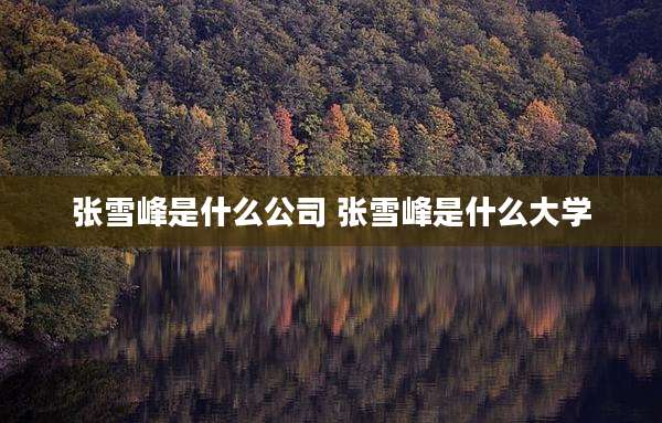 张雪峰是什么公司 张雪峰是什么大学