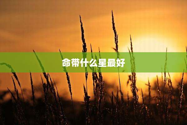 命带什么星最好