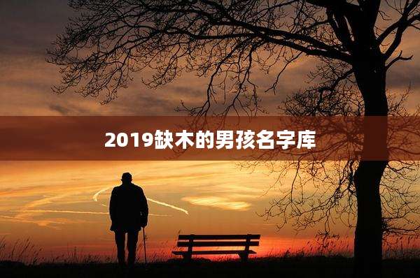 2019缺木的男孩名字库