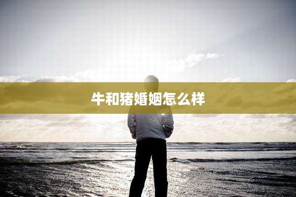牛和猪婚姻怎么样