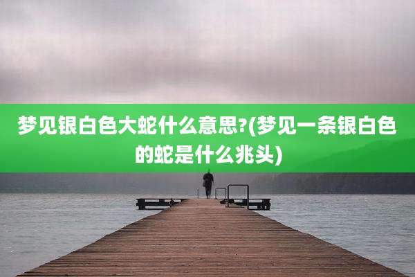 梦见银白色大蛇什么意思?(梦见一条银白色的蛇是什么兆头)