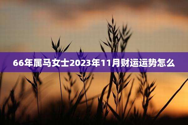 66年属马女士2023年11月财运运势怎么