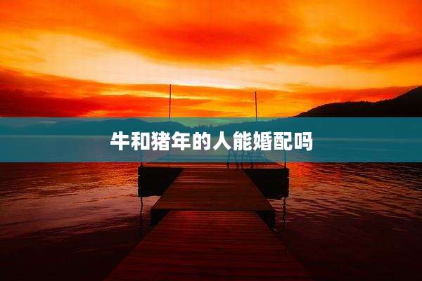 牛和猪年的人能婚配吗