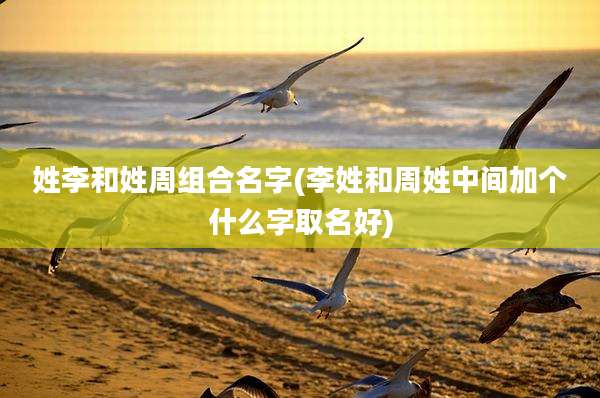 姓李和姓周组合名字(李姓和周姓中间加个什么字取名好)